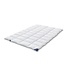 Auping Dew Dekbed Spring/Fall