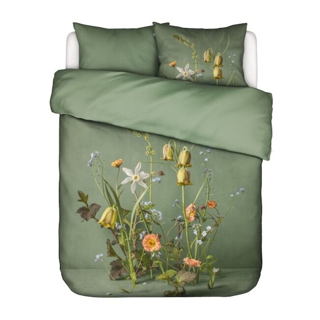 Ficaria Greenish