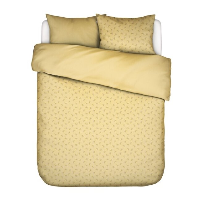 Co Lily melody lemon, geel