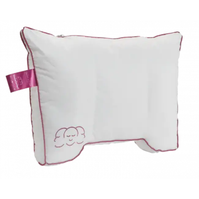 Silvana Comfort reiskussen
