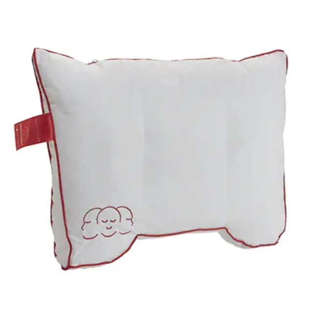 Silvana Comfort reiskussen