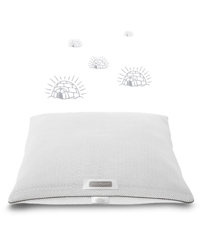 SmartSleeve kussensloop