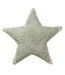 Lifetime gevormd kussen star