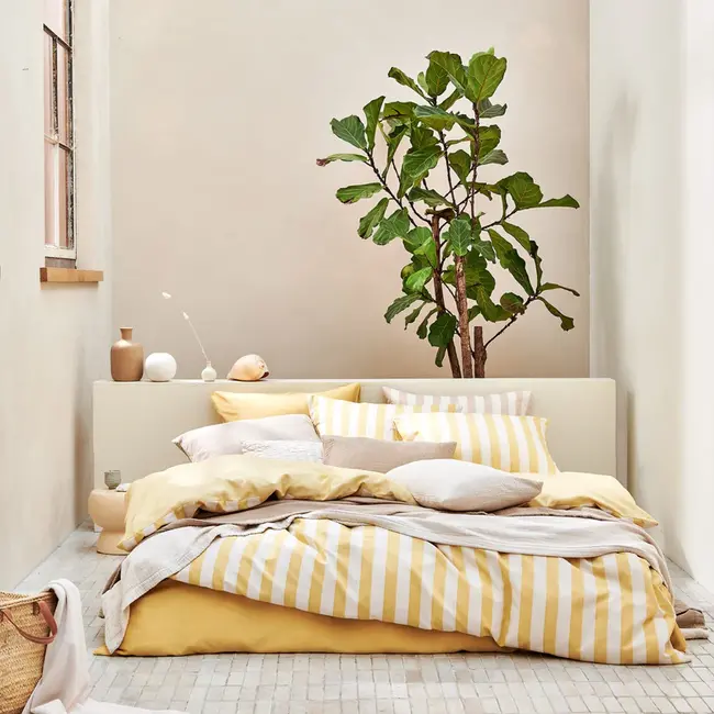 Vandyck home 98 cotton lyocel sunlight Dekbedovertrek