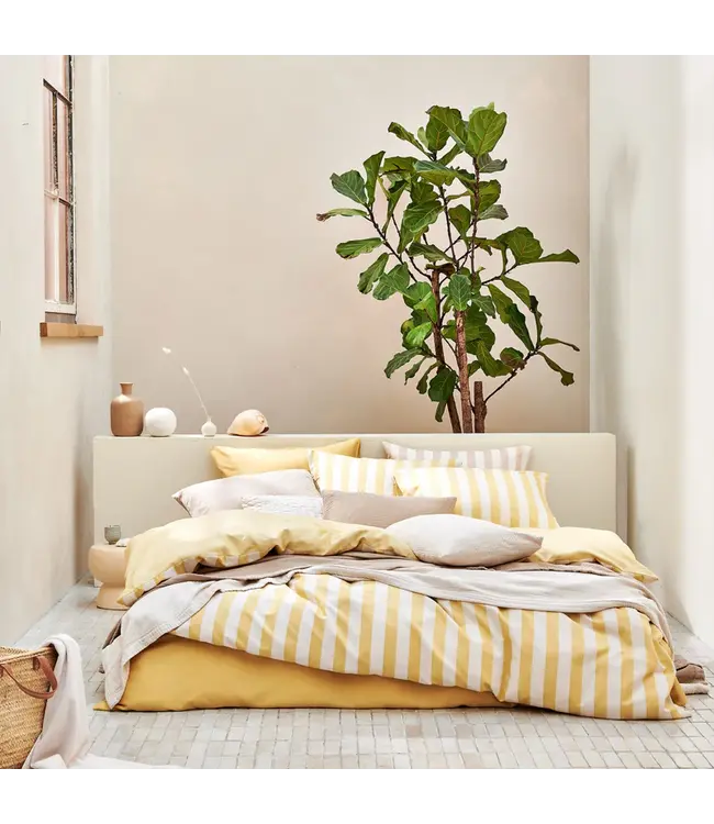 Vandyck home 98 cotton lyocel sunlight Dekbedovertrek