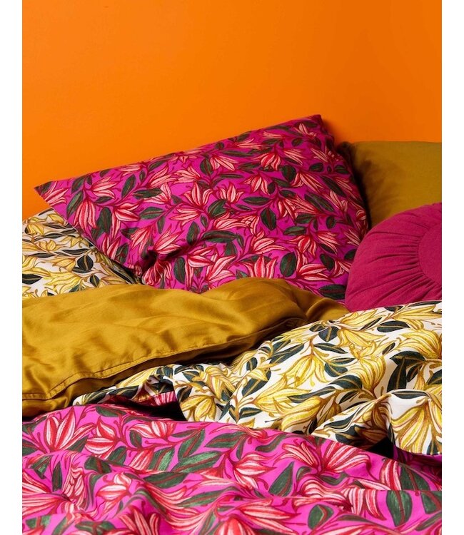 Essenza & Co Bellflower Rose violett