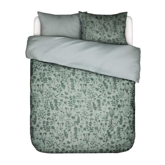 Maribel, groen