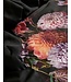 Essenza Bouquet Dekbedovertrek Anthracite
