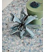 Essenza Aleste carpet Surf green