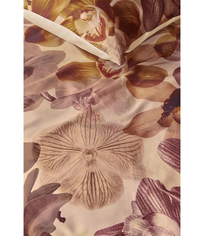 Beddinghouse Dekbedovertrek Orchid Terra
