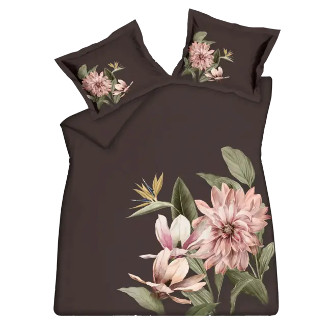 paradise bloom, chocolade