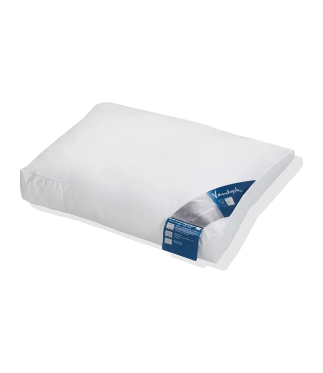 Vandyck Allergy free Hoofdkussen