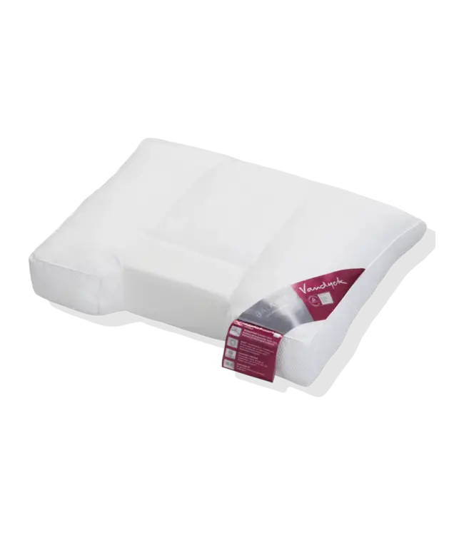 Vandyck Balance hoofdkussen