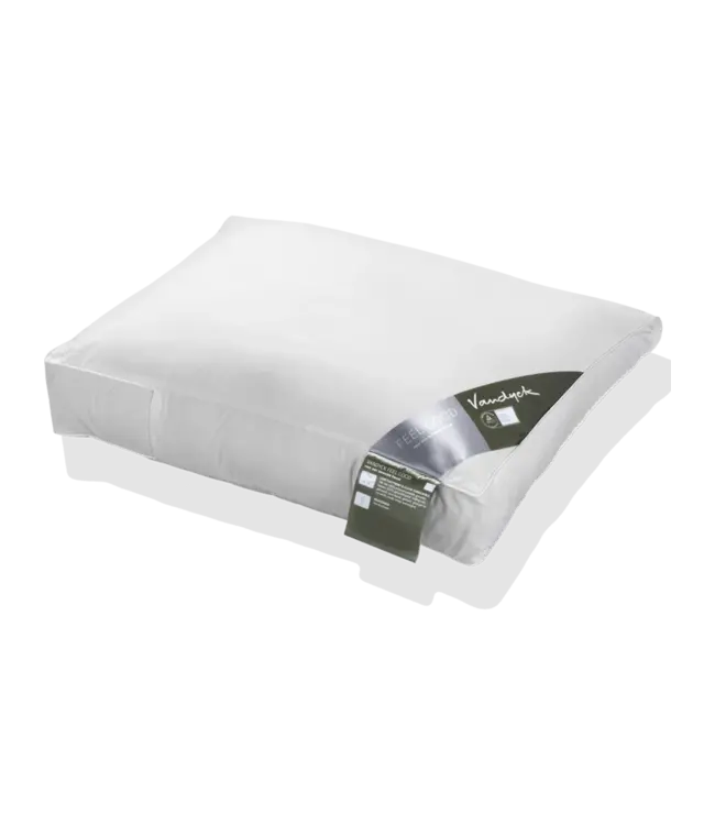 Vandyck Feel Good hoofdkussen