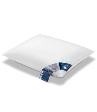 Vandyck Vandyck Pure Nature driekamer hoofdkussen