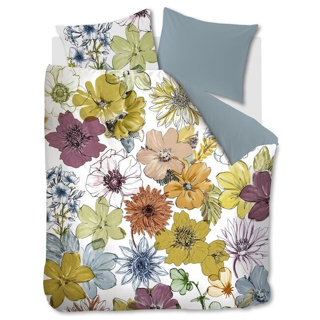 Lotti, multi