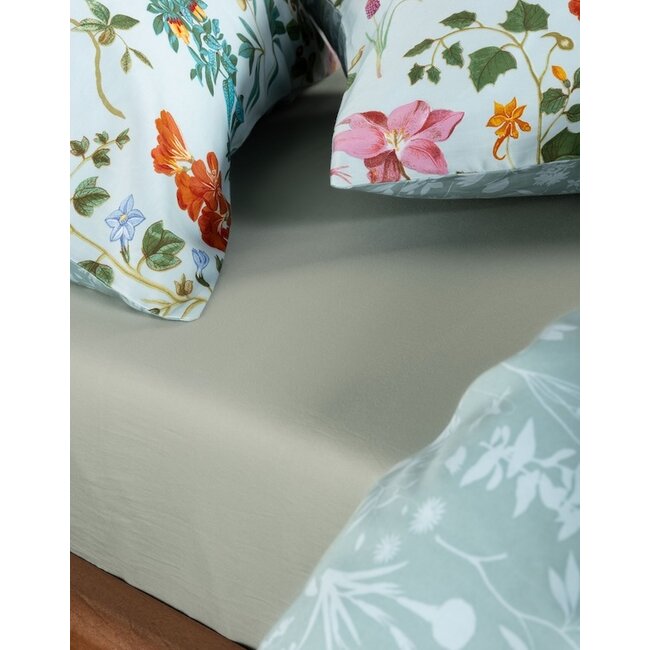 Essenza Marigold Pastel blue dekbedovertrek