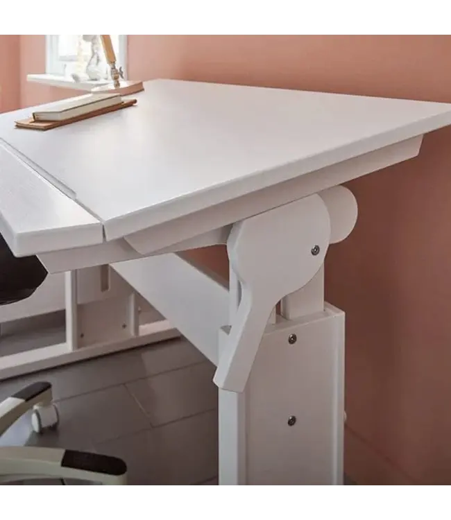 Lifetime bureau in hoogte en hoek verstelbaar - 120 cm