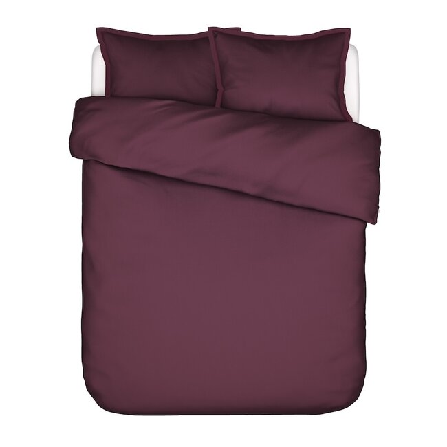 Aziza, mauve wine