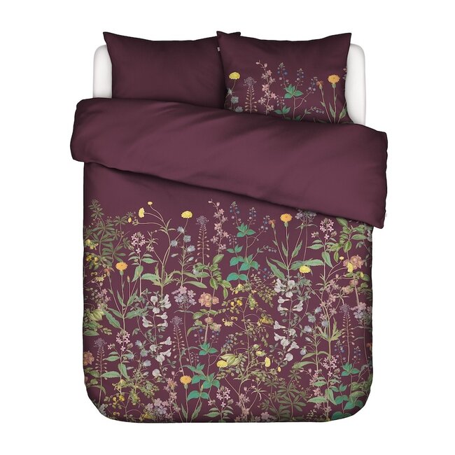 Augustina, mauve wine