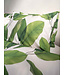 Snurk Leaf Me dekbedovertrek
