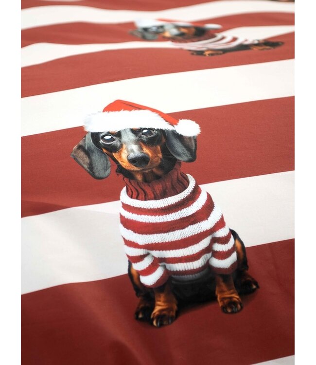 Snurk Pierre Xmas dekbedovertrek