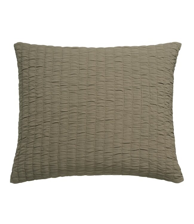 Vandyck Pure 64 G.Dyed thyme Spreisloop