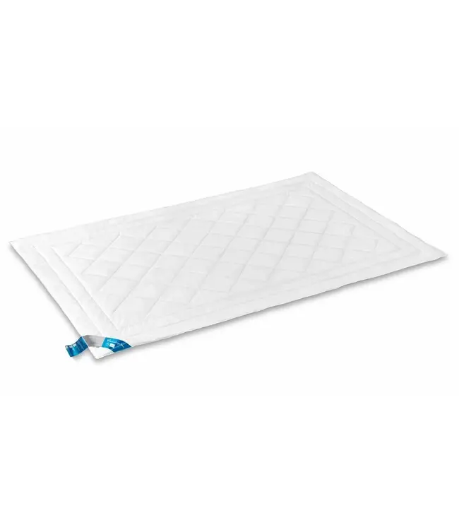 Vandyck Summer Mulberry Silk 140x200