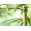 Bamboo Comfort enkel dekbed