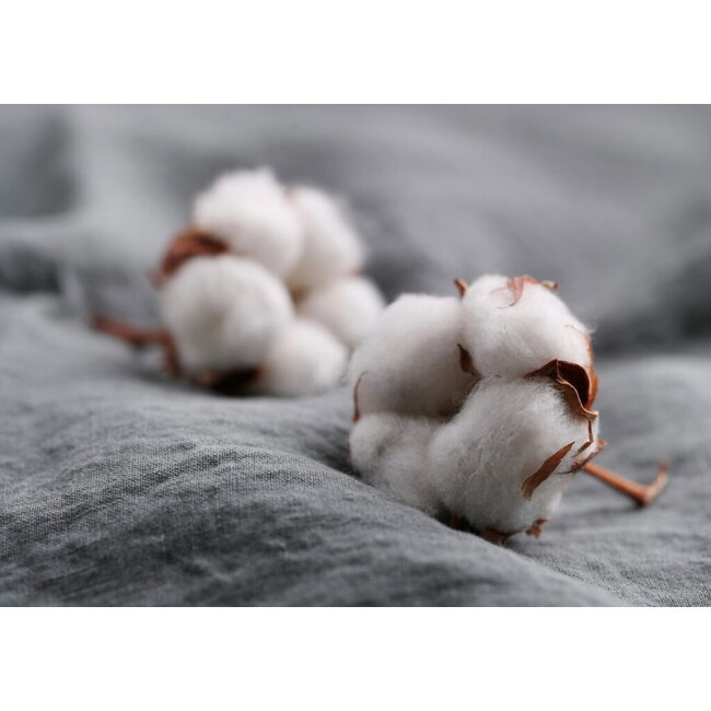 Cotton Comfort Wash90 enkel dekbed