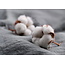 Cotton Comfort Wash90 enkel dekbed