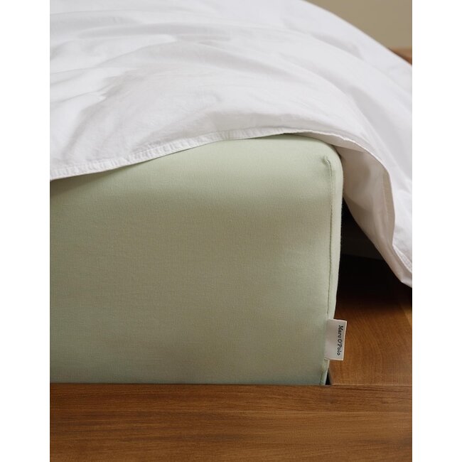 Premium Organic Jersey Calm, salie