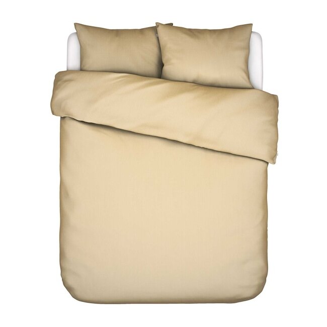Coletta, geel straw