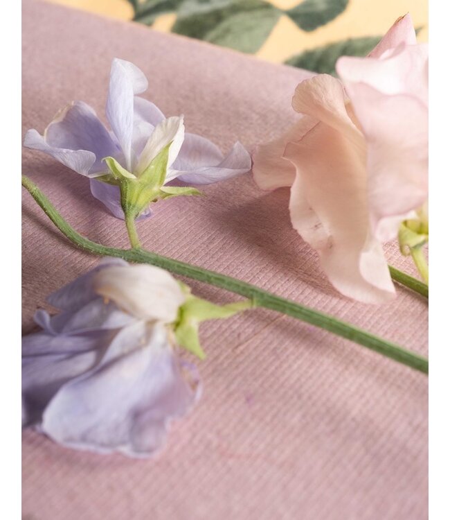 Essenza Augustina Yellow straw dekbedovertrek