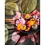 Essenza Rose Delight Woodrose dekbedovertrek