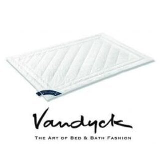 Vandyck Vandyck Summer Silk 140x200