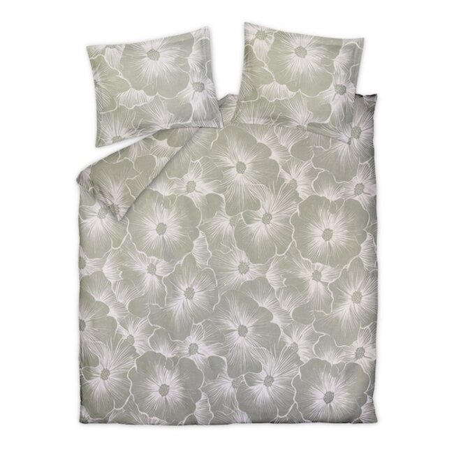 Bloomline pistache