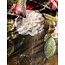 Essenza Rose Delight Woodrose kussensloop