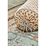 Pip Studio Jaipur Flower Roll kussen Groen 22x70