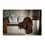 Brun de Vian Baby Lama plaid