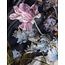 Essenza Rosabelle Nightblue Dekbedovertrek