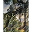 Essenza Selva Vanilla Dekbedovertrek