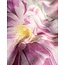 Essenza Rosabelle Vanilla Dekbedovertrek