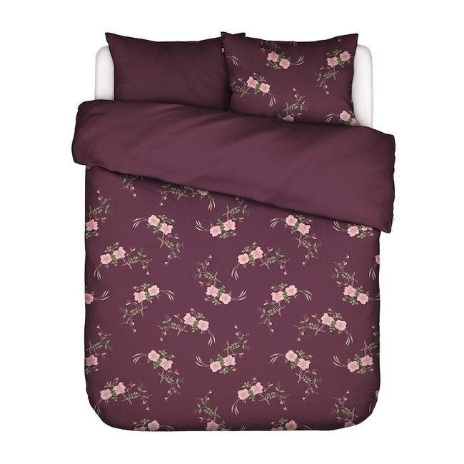 Maren, mauve wine