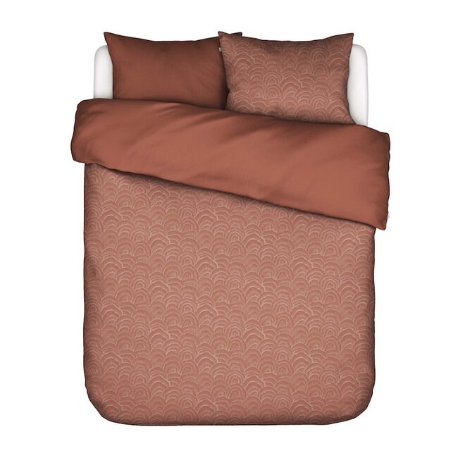 Raye, terracotta