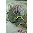 Pip Studio Everbloom Roll Cushion Groen
