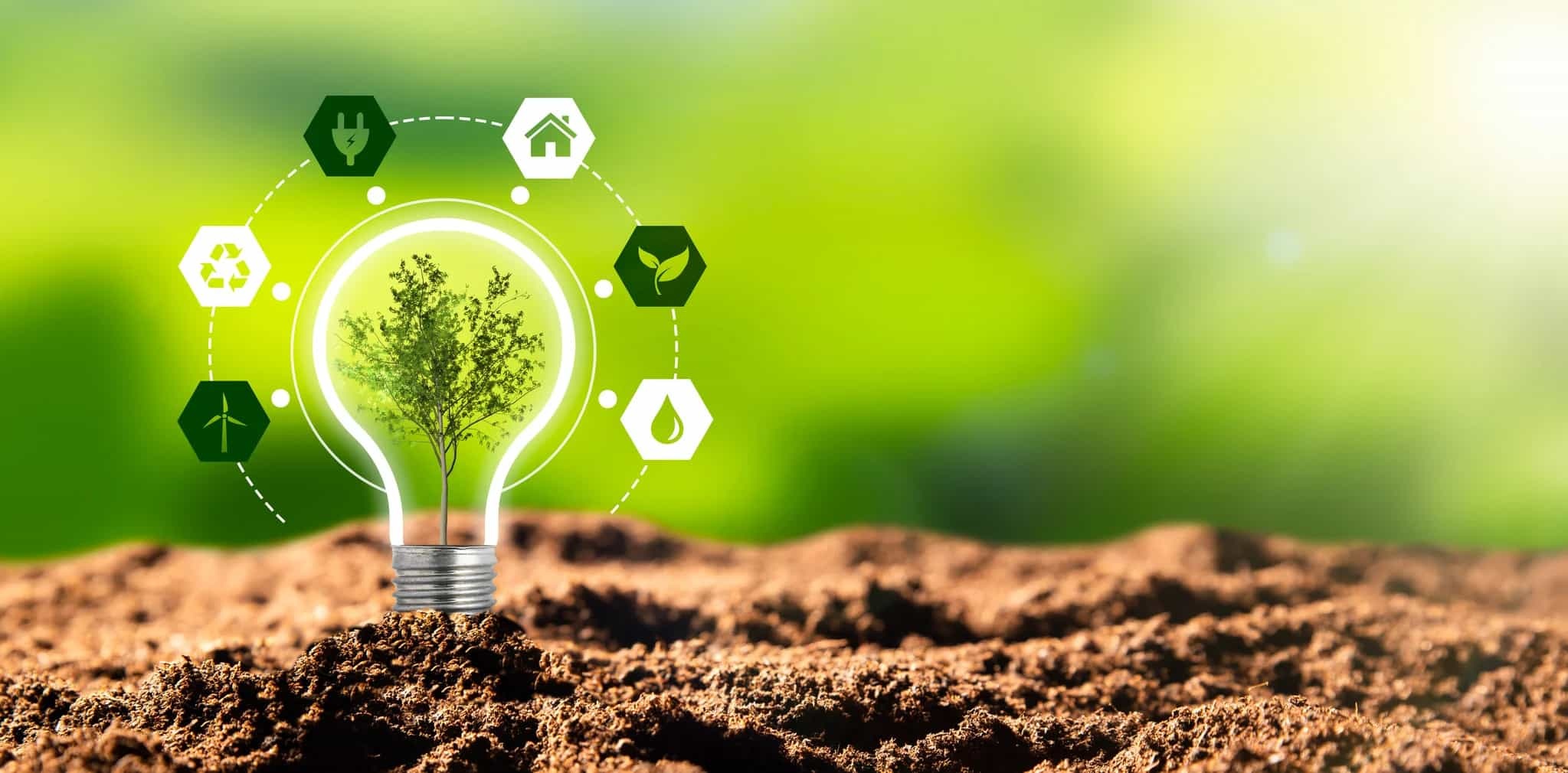 Journée de l’environnement : adoptez l’éclairage LED