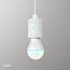 MiBoxer/Mi-Light Ampoule LED E27 FUT014 - RGB+CCT - 6W - Dimmable