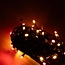 Guirlande lumineuse multicolore LED - 20 m - IP44