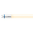 Philips Tube LED T8 MASTER - 600 mm - 8W - 3000K Blanc Chaud - 1050 lm - 130 lm/W